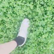 ヒメ日記 2025/05/29 18:33 投稿 せな フェアリードール