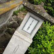 ヒメ日記 2025/06/12 12:43 投稿 せな フェアリードール