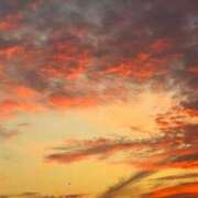 ヒメ日記 2025/06/29 19:23 投稿 せな フェアリードール