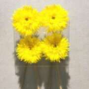 ヒメ日記 2025/07/11 23:23 投稿 せな フェアリードール