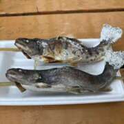 ヒメ日記 2025/08/15 12:05 投稿 せな フェアリードール