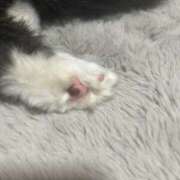 ヒメ日記 2025/02/12 22:59 投稿 桜蘭ひなの（パイパン・エロ尻） ソープランド ZERO