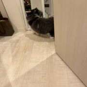 ヒメ日記 2025/03/08 20:26 投稿 桜蘭ひなの（パイパン・エロ尻） ソープランド ZERO