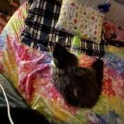 ヒメ日記 2025/03/19 22:10 投稿 桜蘭ひなの（パイパン・エロ尻） ソープランド ZERO