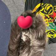 ヒメ日記 2025/03/29 23:36 投稿 桜蘭ひなの（パイパン・エロ尻） ソープランド ZERO