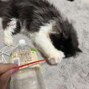 ヒメ日記 2025/04/08 20:47 投稿 桜蘭ひなの（パイパン・エロ尻） ソープランド ZERO