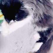 ヒメ日記 2025/04/19 21:24 投稿 桜蘭ひなの（パイパン・エロ尻） ソープランド ZERO