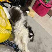 ヒメ日記 2025/04/26 22:50 投稿 桜蘭ひなの（パイパン・エロ尻） ソープランド ZERO