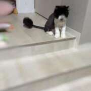 ヒメ日記 2025/05/10 15:36 投稿 桜蘭ひなの（パイパン・エロ尻） ソープランド ZERO