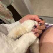 ヒメ日記 2025/05/29 18:39 投稿 桜蘭ひなの（パイパン・エロ尻） ソープランド ZERO