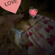 ヒメ日記 2025/05/31 00:04 投稿 桜蘭ひなの（パイパン・エロ尻） ソープランド ZERO