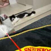 ヒメ日記 2025/05/31 21:03 投稿 桜蘭ひなの（パイパン・エロ尻） ソープランド ZERO