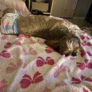 ヒメ日記 2025/06/02 20:36 投稿 桜蘭ひなの（パイパン・エロ尻） ソープランド ZERO