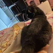 ヒメ日記 2025/06/14 21:06 投稿 桜蘭ひなの（パイパン・エロ尻） ソープランド ZERO