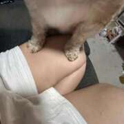 ヒメ日記 2025/06/16 19:26 投稿 桜蘭ひなの（パイパン・エロ尻） ソープランド ZERO