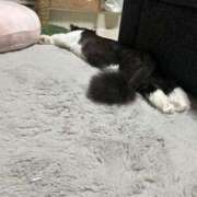 ヒメ日記 2025/06/21 22:06 投稿 桜蘭ひなの（パイパン・エロ尻） ソープランド ZERO