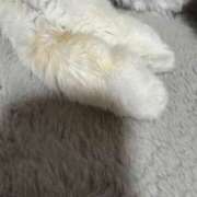 ヒメ日記 2025/06/28 12:13 投稿 桜蘭ひなの（パイパン・エロ尻） ソープランド ZERO