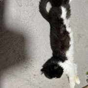 ヒメ日記 2025/06/28 22:17 投稿 桜蘭ひなの（パイパン・エロ尻） ソープランド ZERO