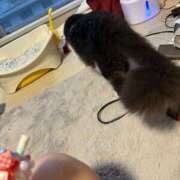 ヒメ日記 2025/07/12 21:11 投稿 桜蘭ひなの（パイパン・エロ尻） ソープランド ZERO