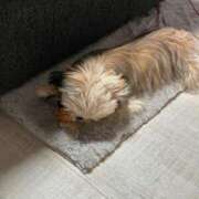 ヒメ日記 2025/07/20 21:56 投稿 桜蘭ひなの（パイパン・エロ尻） ソープランド ZERO