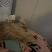 ヒメ日記 2025/07/21 17:48 投稿 桜蘭ひなの（パイパン・エロ尻） ソープランド ZERO