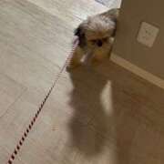 ヒメ日記 2025/07/21 18:36 投稿 桜蘭ひなの（パイパン・エロ尻） ソープランド ZERO