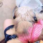 ヒメ日記 2025/07/29 10:56 投稿 桜蘭ひなの（パイパン・エロ尻） ソープランド ZERO