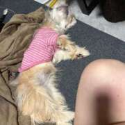 ヒメ日記 2025/07/31 03:16 投稿 桜蘭ひなの（パイパン・エロ尻） ソープランド ZERO