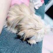 ヒメ日記 2025/08/03 21:36 投稿 桜蘭ひなの（パイパン・エロ尻） ソープランド ZERO