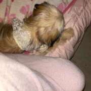 ヒメ日記 2025/08/12 19:14 投稿 桜蘭ひなの（パイパン・エロ尻） ソープランド ZERO