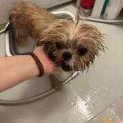 ヒメ日記 2025/08/14 02:46 投稿 桜蘭ひなの（パイパン・エロ尻） ソープランド ZERO