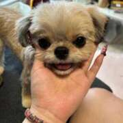 ヒメ日記 2025/08/29 05:16 投稿 桜蘭ひなの（パイパン・エロ尻） ソープランド ZERO