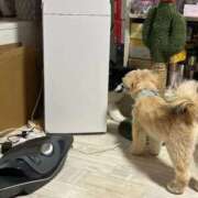 ヒメ日記 2025/08/29 23:36 投稿 桜蘭ひなの（パイパン・エロ尻） ソープランド ZERO