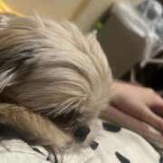 ヒメ日記 2025/08/31 04:56 投稿 桜蘭ひなの（パイパン・エロ尻） ソープランド ZERO