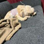 ヒメ日記 2025/09/04 21:46 投稿 桜蘭ひなの（パイパン・エロ尻） ソープランド ZERO