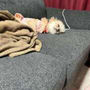 ヒメ日記 2025/09/06 03:36 投稿 桜蘭ひなの（パイパン・エロ尻） ソープランド ZERO