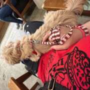 ヒメ日記 2025/09/13 19:43 投稿 桜蘭ひなの（パイパン・エロ尻） ソープランド ZERO