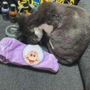 ヒメ日記 2025/09/29 05:16 投稿 桜蘭ひなの（パイパン・エロ尻） ソープランド ZERO