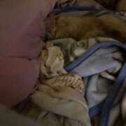 ヒメ日記 2025/09/29 17:46 投稿 桜蘭ひなの（パイパン・エロ尻） ソープランド ZERO