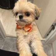 ヒメ日記 2025/09/29 21:46 投稿 桜蘭ひなの（パイパン・エロ尻） ソープランド ZERO