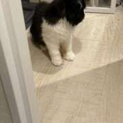 ヒメ日記 2025/09/29 22:16 投稿 桜蘭ひなの（パイパン・エロ尻） ソープランド ZERO