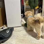 ヒメ日記 2025/09/30 09:16 投稿 桜蘭ひなの（パイパン・エロ尻） ソープランド ZERO