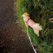 ヒメ日記 2025/09/30 09:30 投稿 桜蘭ひなの（パイパン・エロ尻） ソープランド ZERO