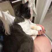 ヒメ日記 2025/09/30 10:46 投稿 桜蘭ひなの（パイパン・エロ尻） ソープランド ZERO