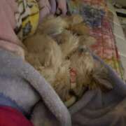 ヒメ日記 2025/10/25 23:56 投稿 桜蘭ひなの（パイパン・エロ尻） ソープランド ZERO