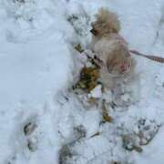 ヒメ日記 2025/11/09 07:16 投稿 桜蘭ひなの（パイパン・エロ尻） ソープランド ZERO