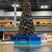 ヒメ日記 2025/11/13 22:56 投稿 桜蘭ひなの（パイパン・エロ尻） ソープランド ZERO