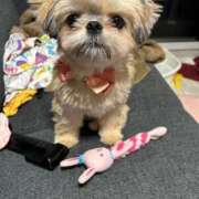 ヒメ日記 2025/11/14 21:16 投稿 桜蘭ひなの（パイパン・エロ尻） ソープランド ZERO