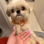 ヒメ日記 2025/11/28 07:26 投稿 桜蘭ひなの（パイパン・エロ尻） ソープランド ZERO