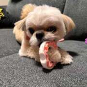 ヒメ日記 2025/11/28 18:46 投稿 桜蘭ひなの（パイパン・エロ尻） ソープランド ZERO